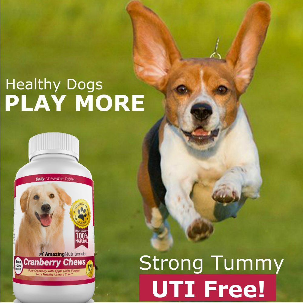 120 Cranberry Chews with Apple Cider Vinegar Bacon Flavor Dog Supplement T525