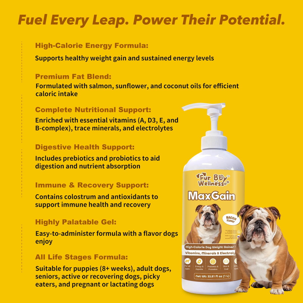High-Calorie Dog Weight Gainer Gel with Salmon Oil, Probiotics, Vitamins & Electrolytes C4331