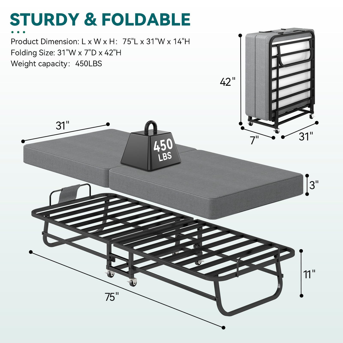 Folding Bed 75" x 31" X2173