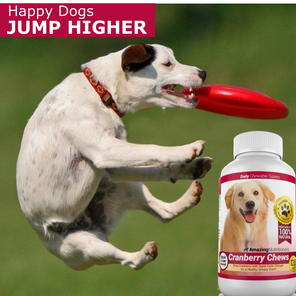 120 Cranberry Chews with Apple Cider Vinegar Bacon Flavor Dog Supplement T525