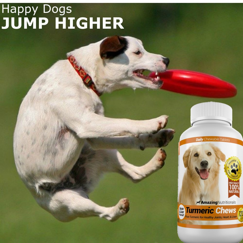 Joint Support Skin and Coat Health Bundle Turmeric Omega 3 S4185