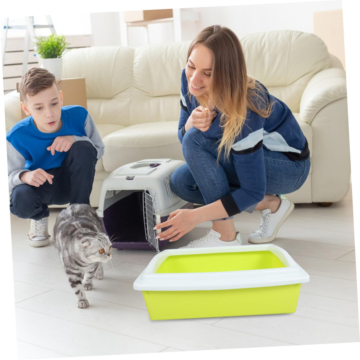 Open Top Cat Litter Box with Frame Semi-Enclosed L535