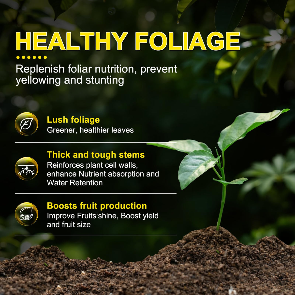 Liquid Fertilizer with Organic Micro-Nutrient B837