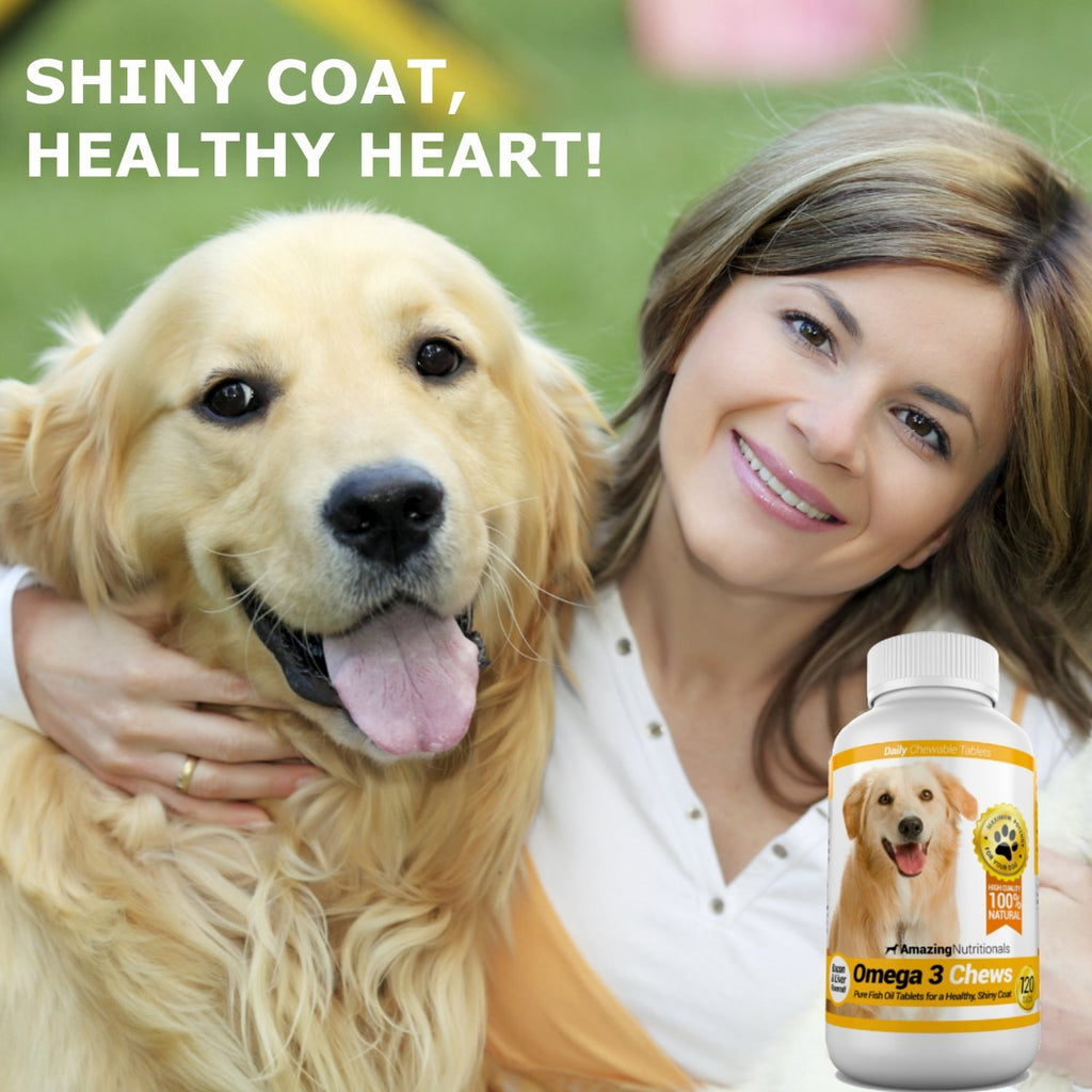 Joint Support Skin and Coat Health Bundle Turmeric Omega 3 S4185
