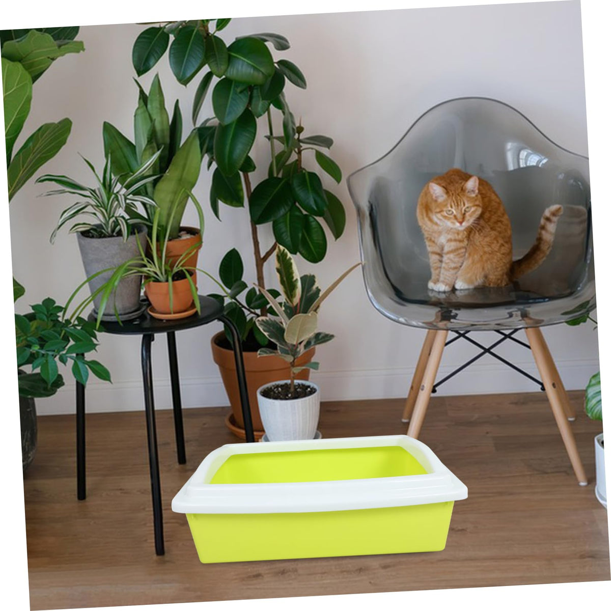 Open Top Cat Litter Box with Frame Semi-Enclosed L535