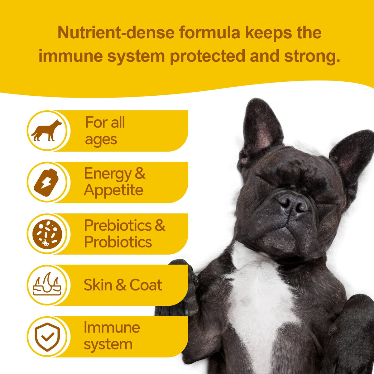 High-Calorie Dog Weight Gainer Gel with Salmon Oil, Probiotics, Vitamins & Electrolytes C4331