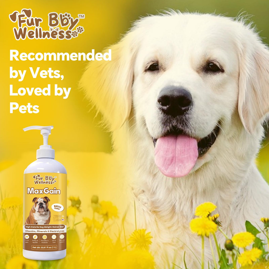 High-Calorie Dog Weight Gainer Gel with Salmon Oil, Probiotics, Vitamins & Electrolytes C4331
