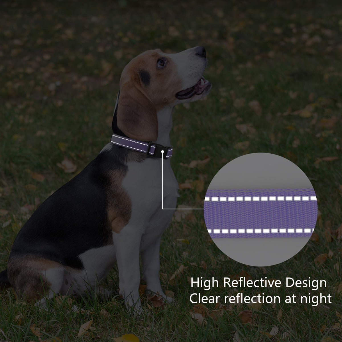 Reflective Adjustable Nylon Dog Collar Q862