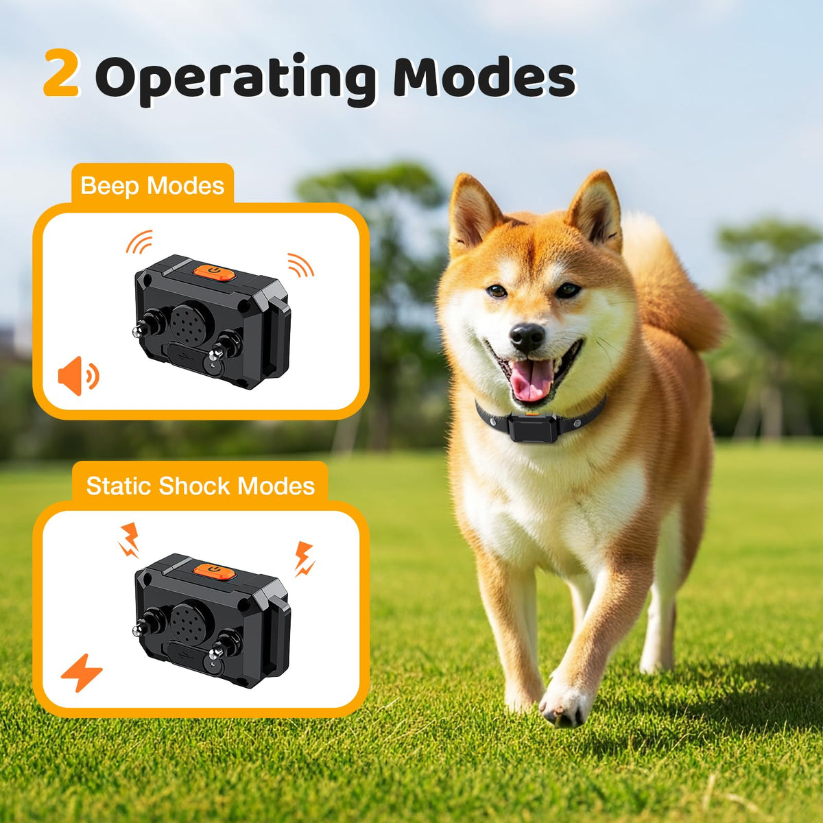 Electric Fence for Dogs with 2 Collars Q581211