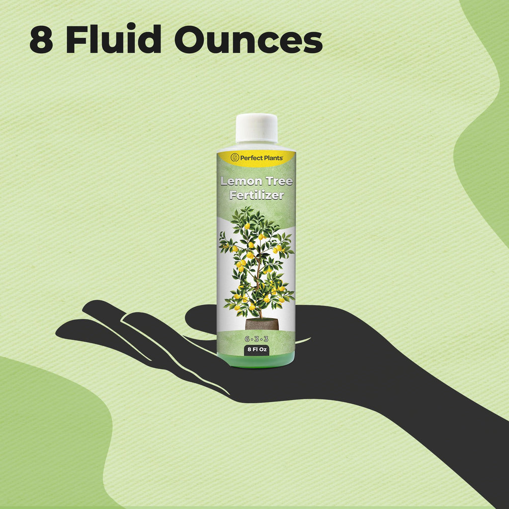 8 oz Citrus Plant Fertilizer J431