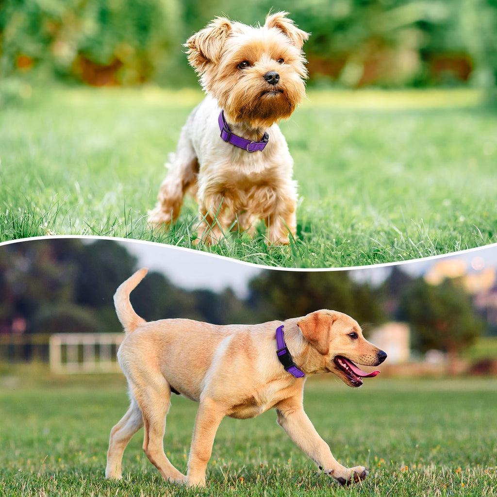 Reflective Adjustable Nylon Dog Collar Q862