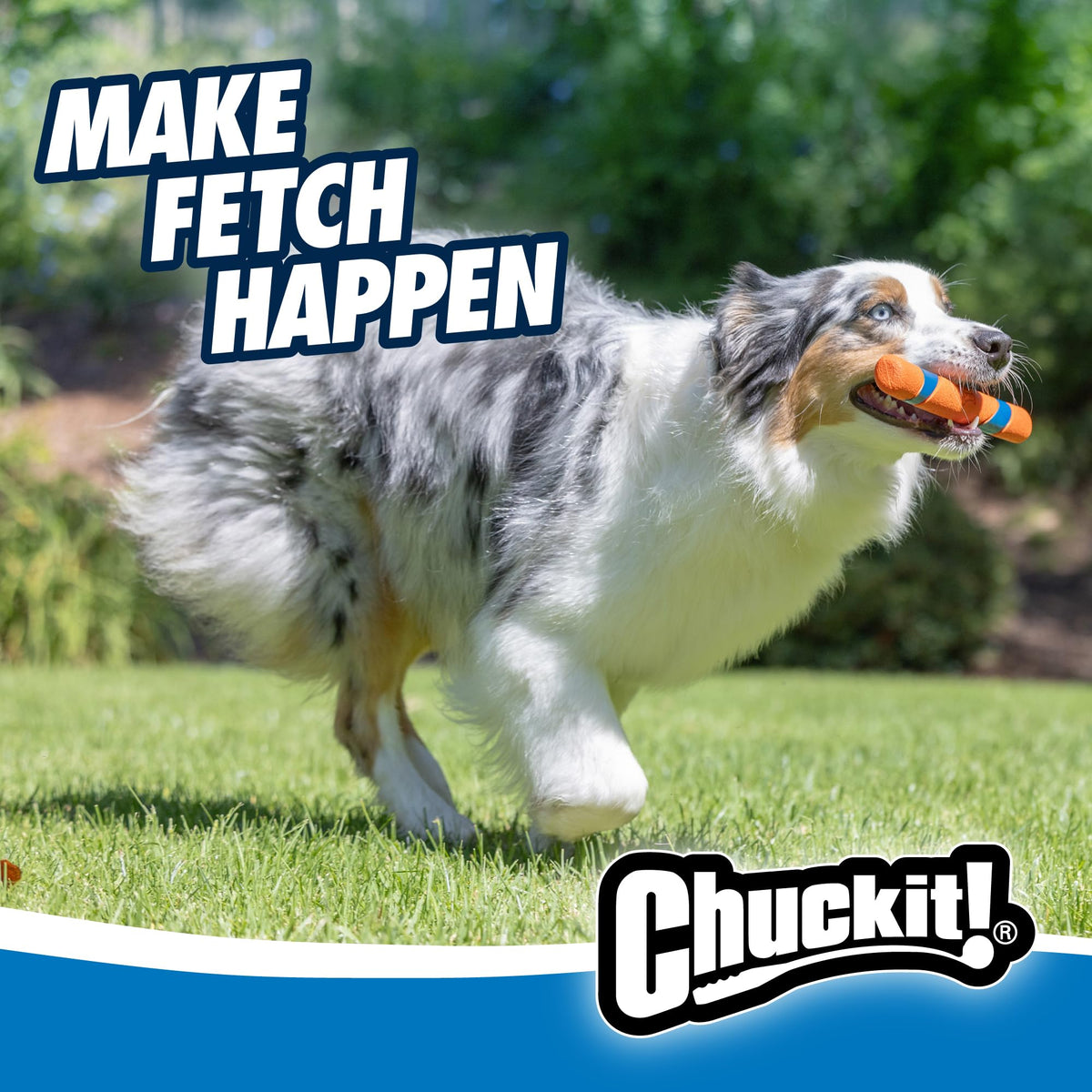 Interactive Dog Toy C242