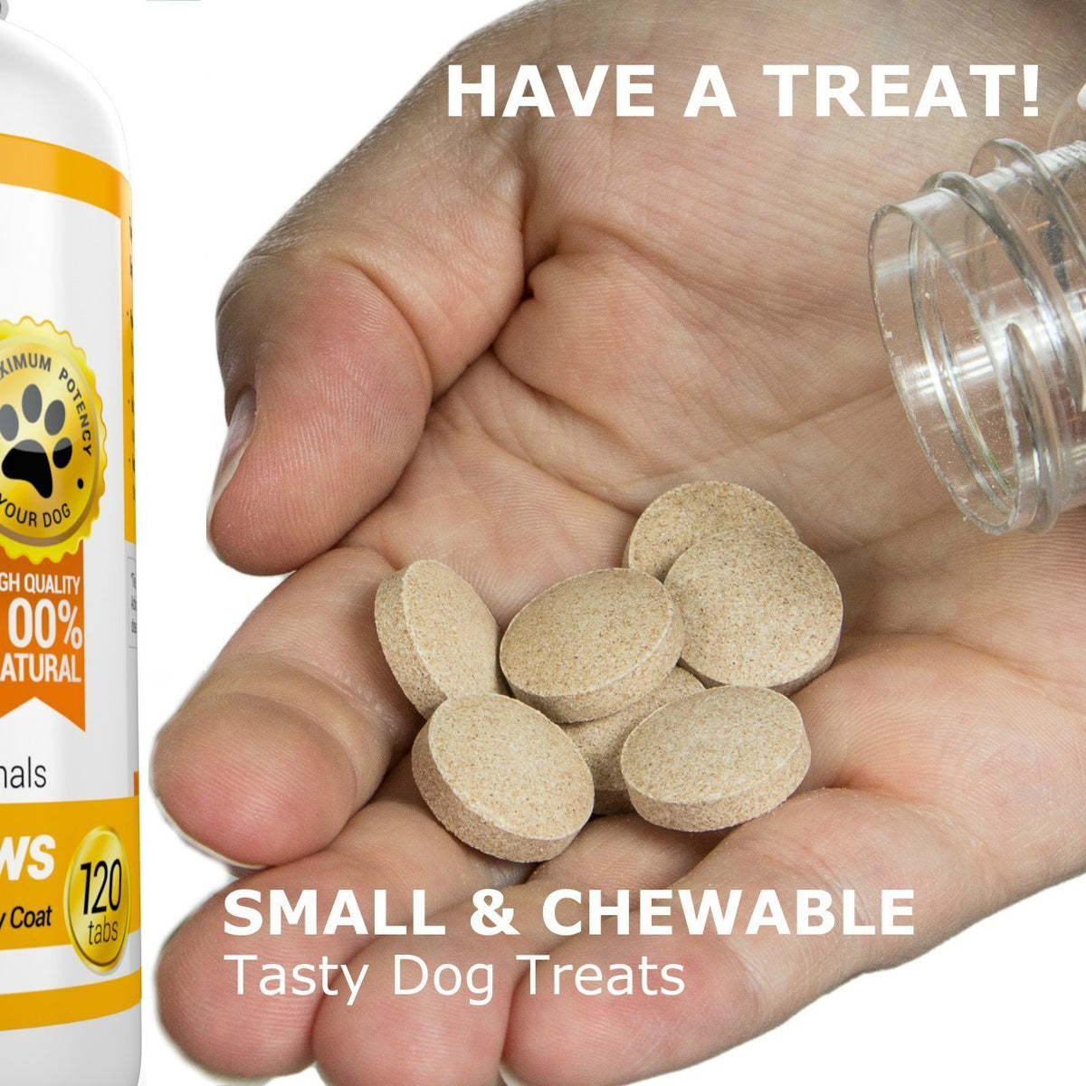 Joint Support Skin and Coat Health Bundle Turmeric Omega 3 S4185