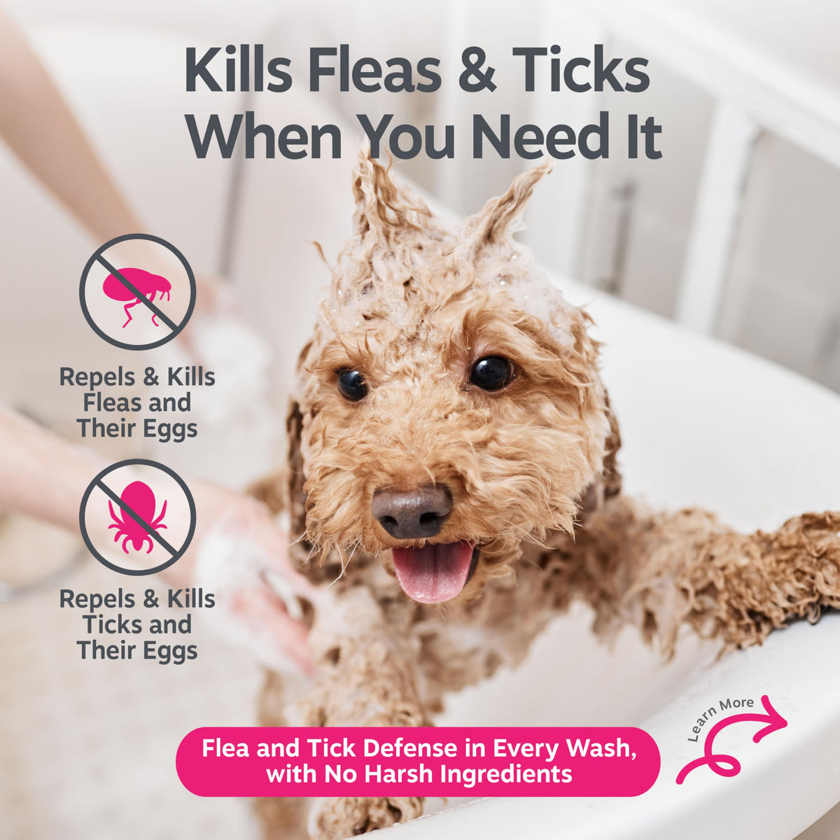 Flea and Tick Shampoo for Dogs 16oz S978