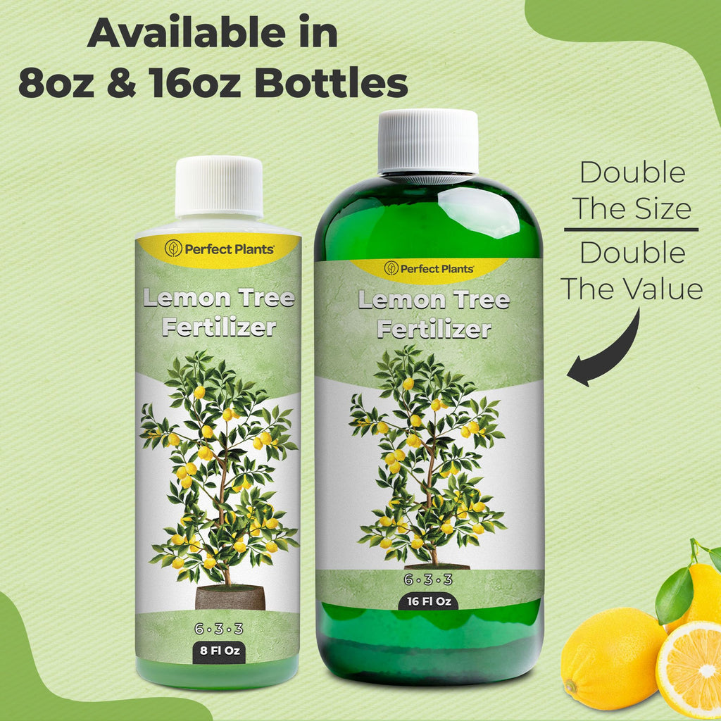 8 oz Citrus Plant Fertilizer J431