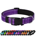 Reflective Adjustable Nylon Dog Collar Q862