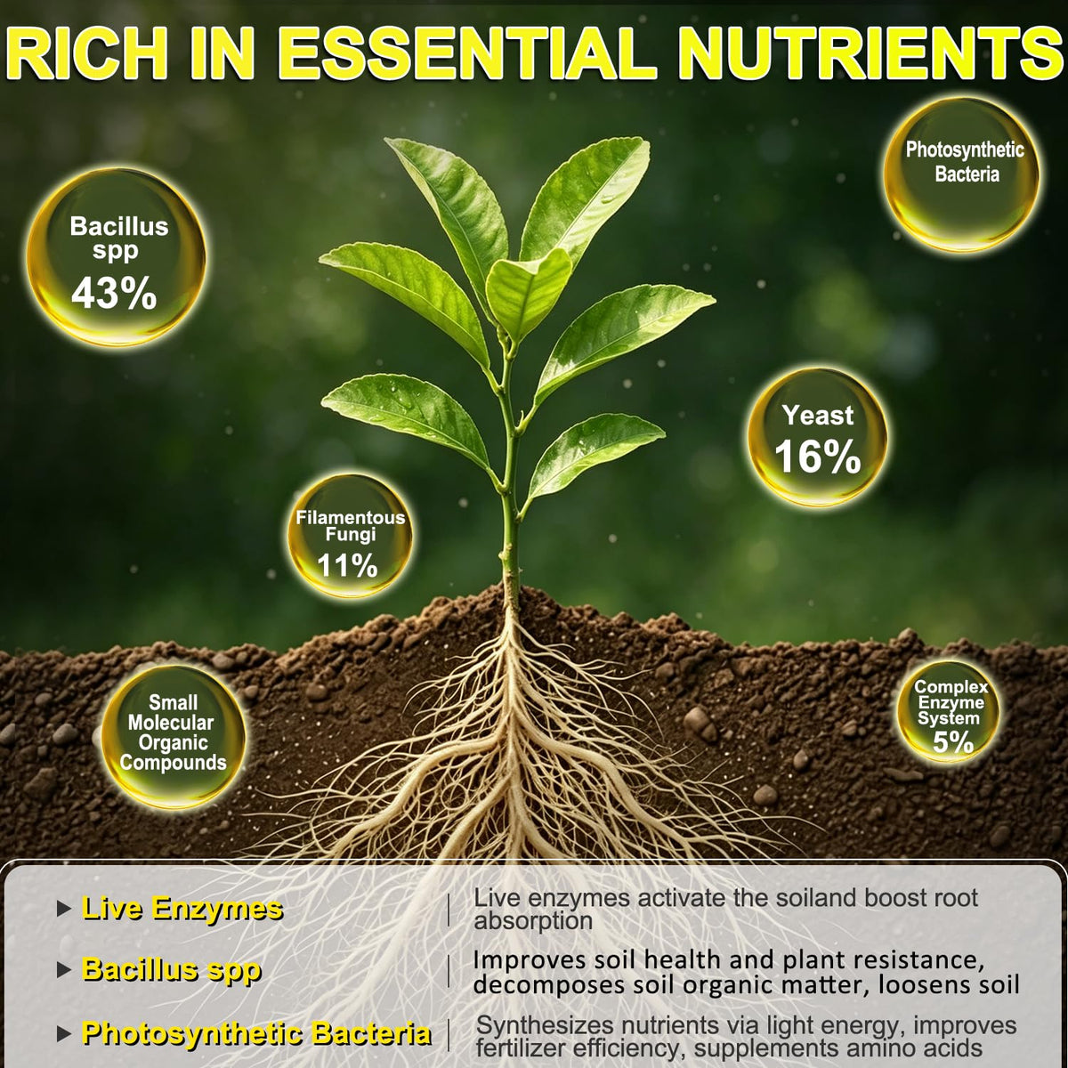 Liquid Fertilizer with Organic Micro-Nutrient B837