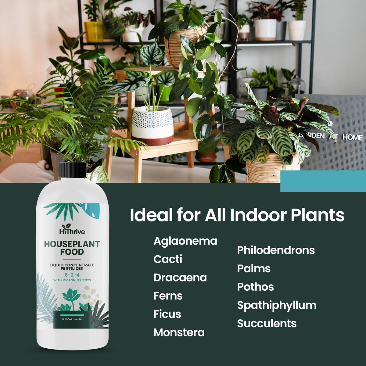 16oz All Purpose Concentrated Indoor Plant Fertilizer 6-2-4 NPK I119