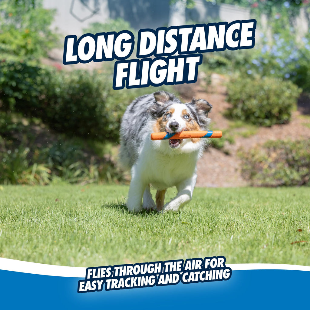 Interactive Dog Toy C242