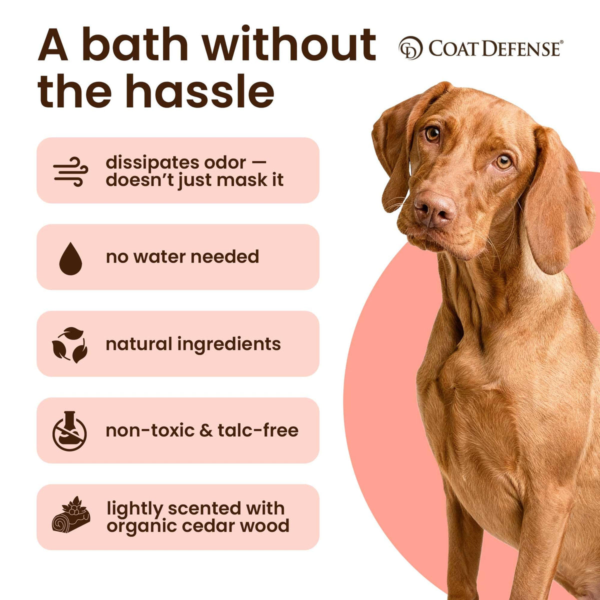 9oz Waterless Dog Shampoo & Pet Deodorizer I4687