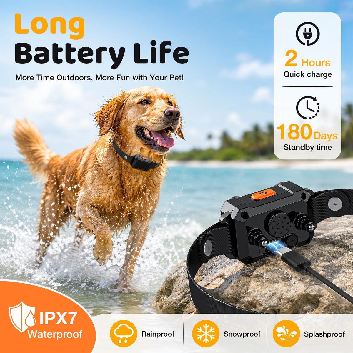 Electric Fence for Dogs with 2 Collars Q581211