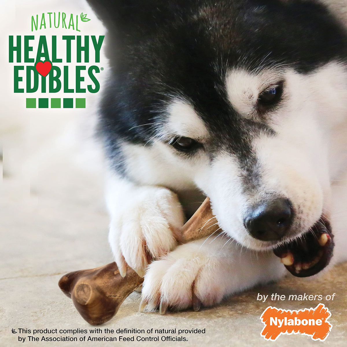 Large Ham Flavor Dog Treats K75251